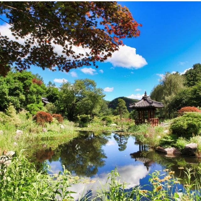 Seoul: Nami and Petite France Tour With Optional K-Garden - Romantic Nami Island Exploration