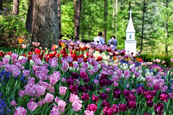Seoul: Nami and Petite France Tour With Optional K-Garden - Pickup and Meeting Points