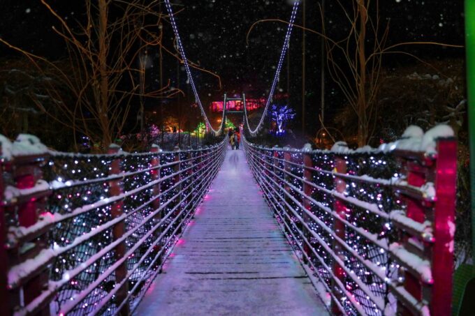 Seoul: Nami and Petite France Tour With Optional K-Garden - Important Tour Information