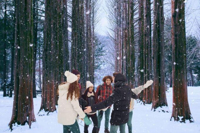 Seoul: Nami and Petite France Tour With Optional K-Garden - Frequently Asked Questions