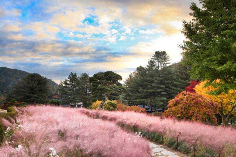 Seoul: Nami Island and Garden of Morning Calm Day Trip - Overview of Nami Island and Garden of Morning Calm