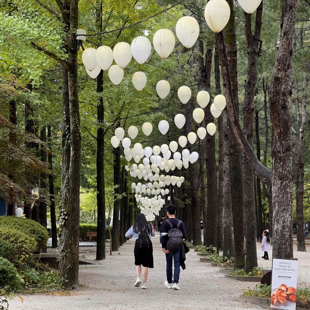 Seoul: Nami Island and Garden of Morning Calm Day Trip - Exploring Nami Islands Scenic Wonders