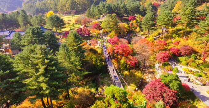 Seoul: Nami Island and Garden of Morning Calm Day Trip - Transportation and Hotel Pickup/Drop-off