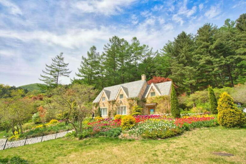 Seoul: Nami Island and Garden of Morning Calm (opt Railbike) - Key Points