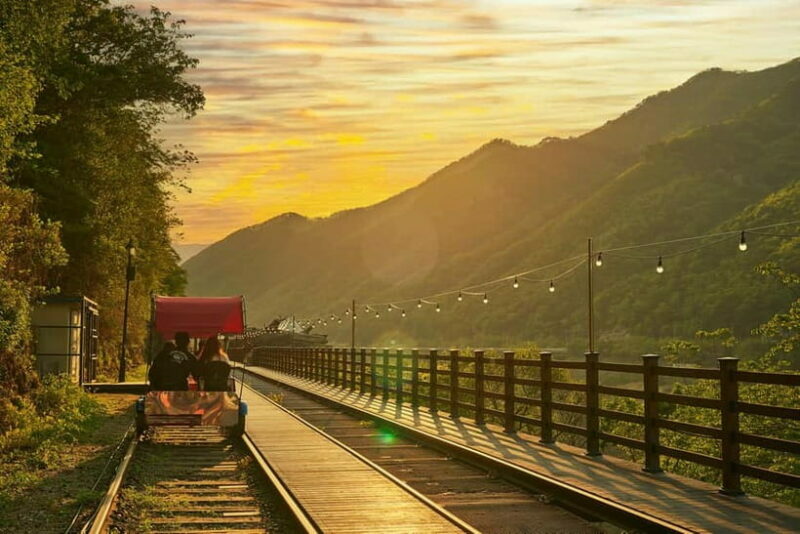 Seoul: Nami Island and Garden of Morning Calm (opt Railbike) - Making the Most of Your Day Trip