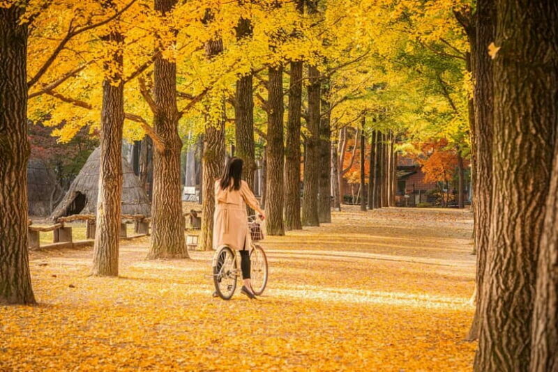 Seoul: Nami Island and Garden of Morning Calm (opt Railbike) - The Value of the Experience