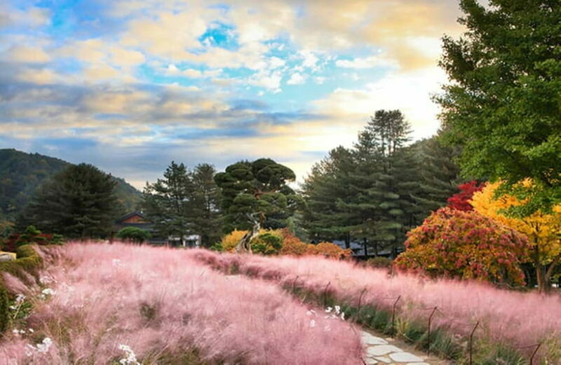 Seoul: Nami Island and Garden of Morning Calm (opt Railbike) - Final Thoughts