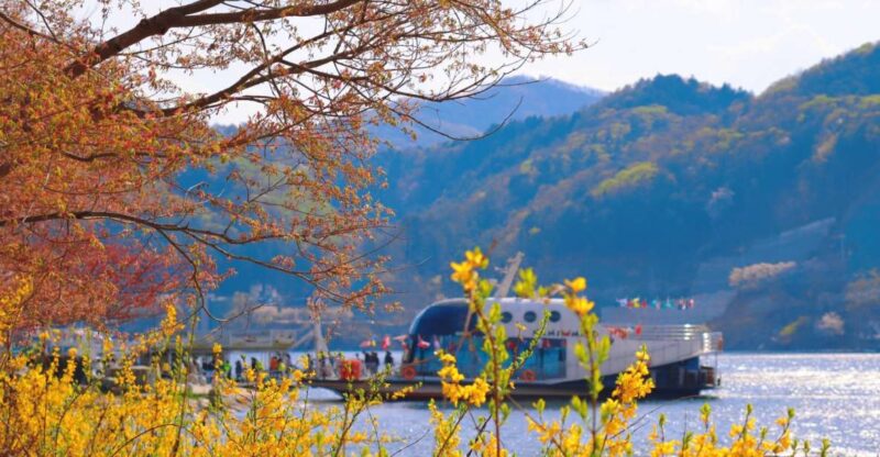Seoul: Namiseom, Petite France, & Garden of Morning Calm - Tour Details