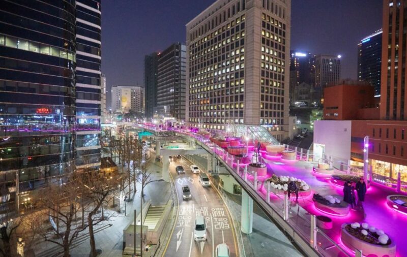 Seoul: Night Tour to Deoksugung Palace and Sevit Seom - Exclusions and Additional Information