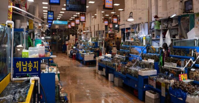 Seoul: Noryangjin Fish Market Guided Tour and Food Tasting - Recap