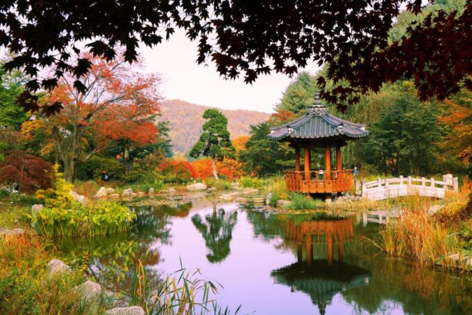 Seoul: Private Customizable Tour to Nami Island and More - Transportation Provided