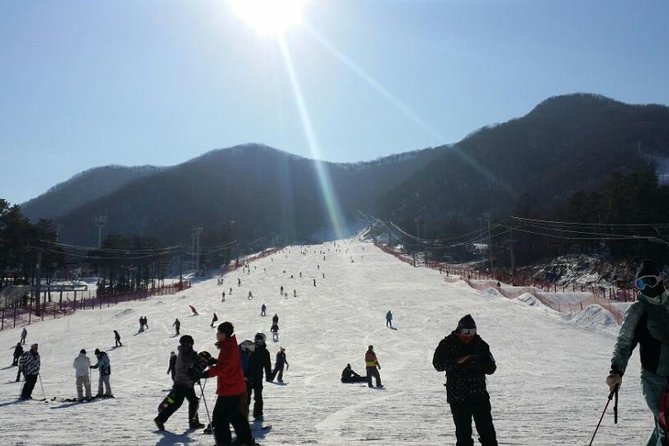 Seoul Ski Tour at Jisan Forest Resort - Lift Ticket Information