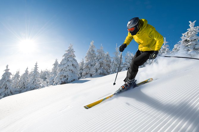 Seoul Ski Tour at Jisan Forest Resort - Meeting and Pickup Details
