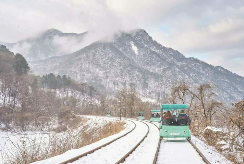 Seoul: Strawberry & Eobi Ice Valley & Nami + Optional Spots - Key Points