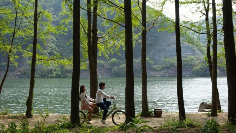Seoul To/From Nami Island: Round-Trip Shuttle Service - Service Overview