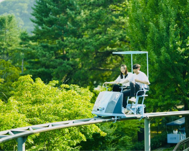 Seoul To/From Nami Island: Round-Trip Shuttle Service - Nami Island Admission