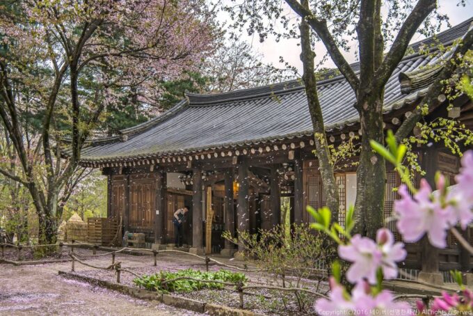 Seoul To/From Nami Island: Round-Trip Shuttle Service - Frequently Asked Questions