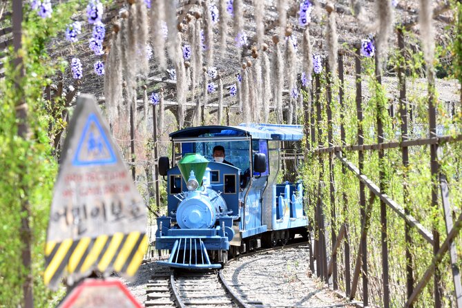 Seoul Vicinity 5 in 1: Nami Island, Garden of Morning Calm & More - Whats Included