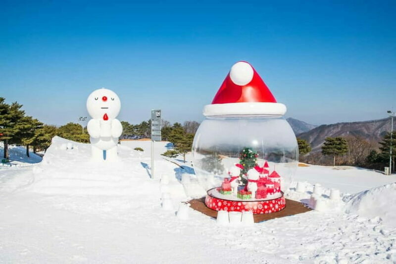 Seoul: Vivaldi Park Winter Ski with Eobi Ice Valley Day Tour - FAQ