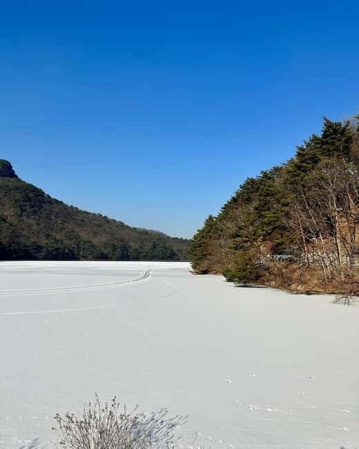 Seoul: Winter Day Tour in Pocheon with Strawberry Picking - Key Points