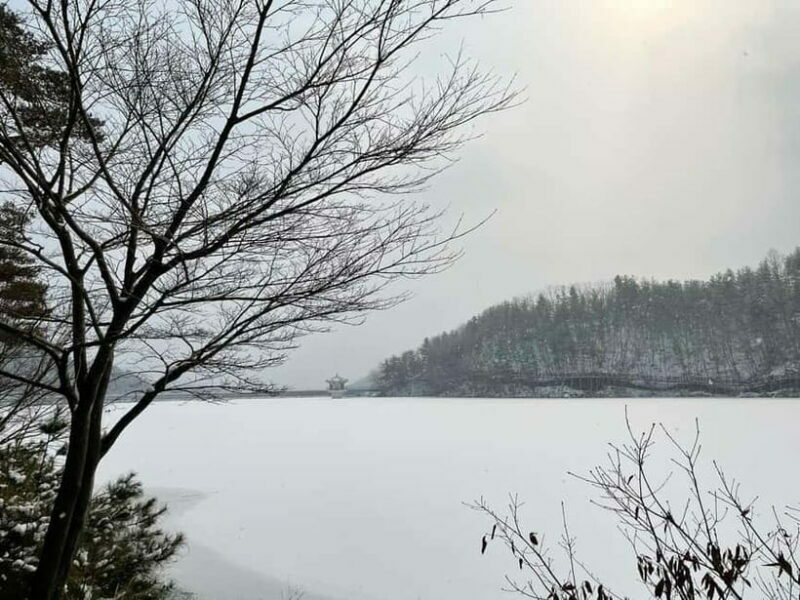 Seoul: Winter Day Tour in Pocheon with Strawberry Picking - Why This Tour Works Well