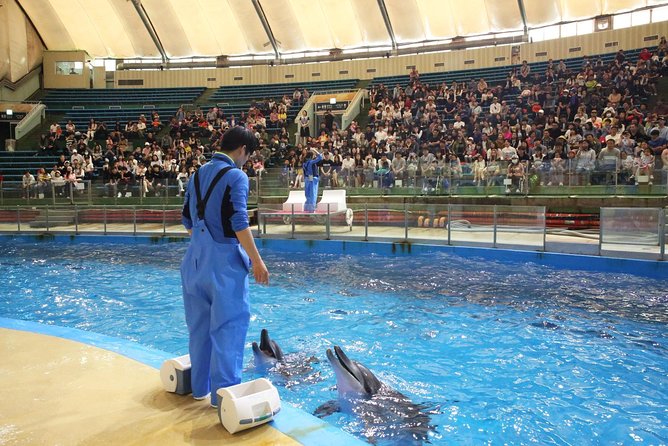 Seoulland Theme Park & Seoul Grand Park Zoo Discount Ticket (Seoulland + Seoul Grand Park Zoo Ticket) - Booking and Cancellation