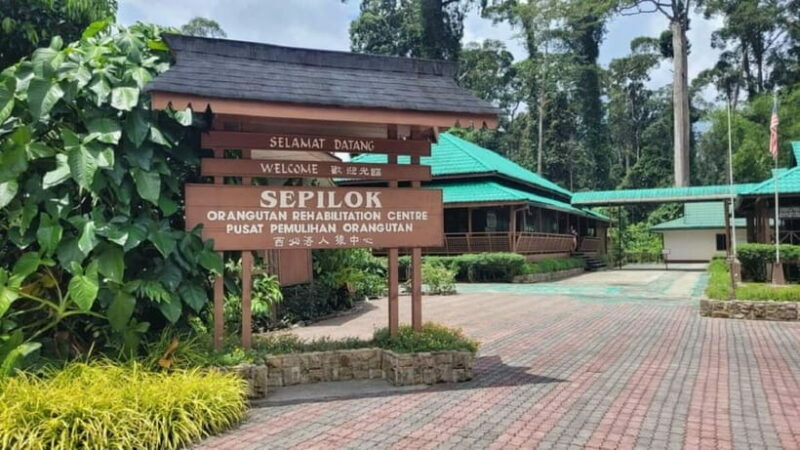 Sepilok OrangUtan, Sun Bear & Labuk Bay Full Day Trip - Exploring the Itinerary: What You’ll Experience