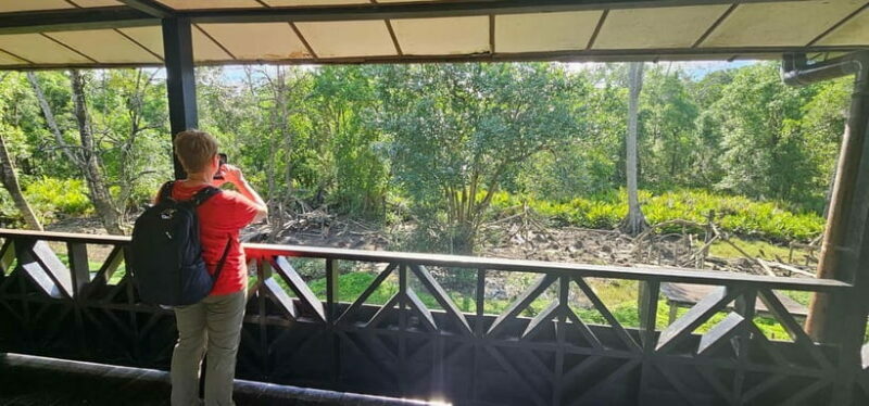 Sepilok OrangUtan, Sun Bear & Labuk Bay Full Day Trip - Final Thoughts