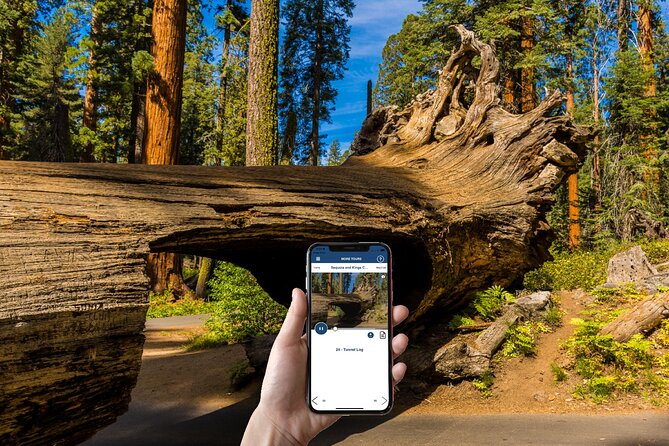 Sequoia & Kings Canyon National Park Self-Driving Audio Tour - Great Value for Every Car