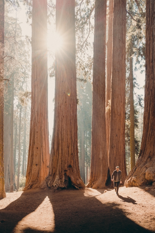 Sequoia & Kings Canyon National Parks: Two-Day Private Tour - Experience Highlights