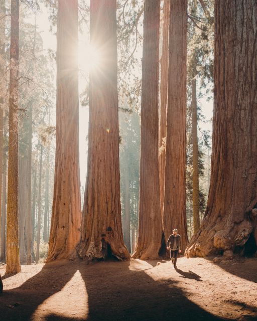 Sequoia & Kings Canyon National Parks: Two-Day Private Tour - Logistics and Convenience