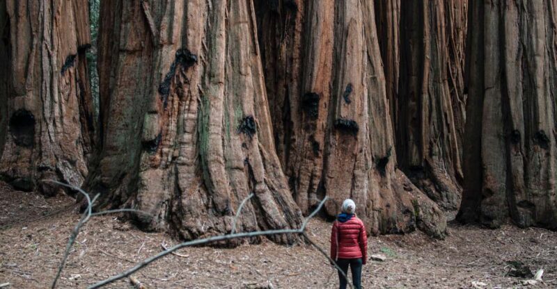 Sequoia & Kings Canyon National Parks: Two-Day Private Tour - Tour Inclusions