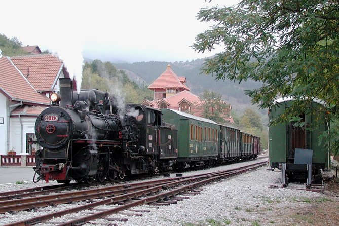 Serbia Travel Novi Sad, Subotica, Wood City, Tara Park, UVAC Canyon, 5 Days Tour - Pricing and Cancellation