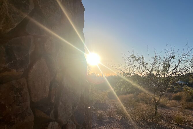 Serene Botanical Tour of the Sonoran Desert. Guided Nature Walk - Traveler Feedback