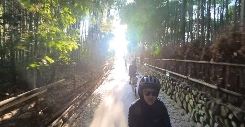 Serene Cycling in Arashiyama: Electric Bike Tour With Guide - Bike Rental and Gear