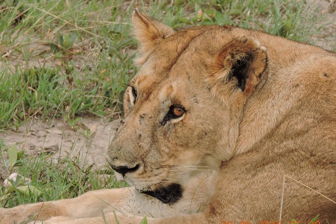 Serengeti 2-Day Safari From Mwanza - Safari Vehicle Specifications