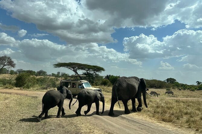 Serengeti 2-Day Safari From Mwanza - Meeting and Pickup Details