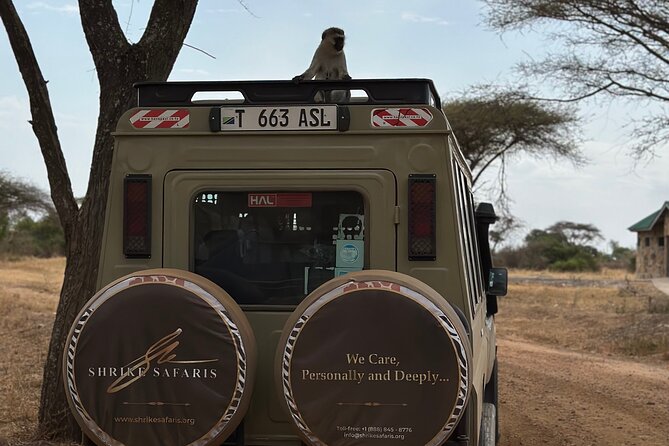Serengeti 2-Day Safari From Mwanza - Booking Confirmation and Requirements
