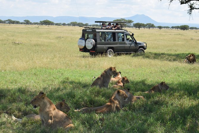 Serengeti Day Trip Safari From Mwanza Tanzania - Accessibility and Restrictions