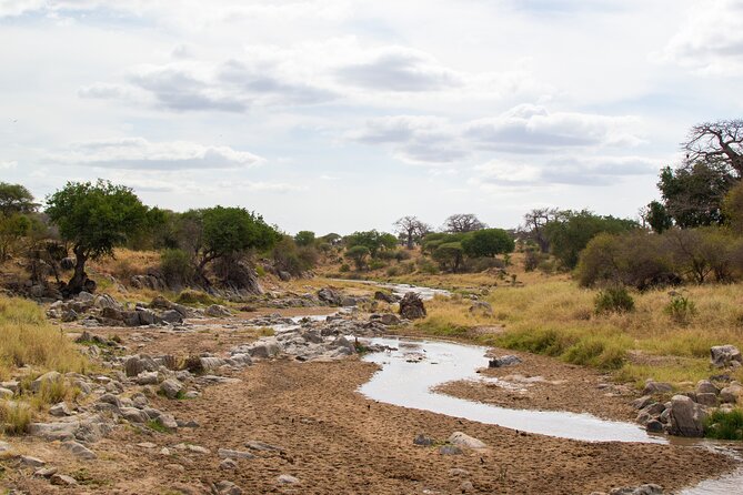 Serengeti Great Wildebeest Migration - 5 Days Tanzania Safari - What to Expect
