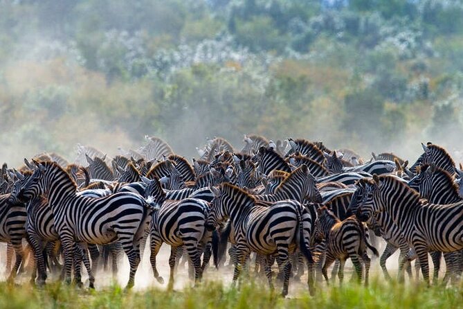 Serengeti Great Wildebeest Migration - 5 Days Tanzania Safari - Preparing for the Safari