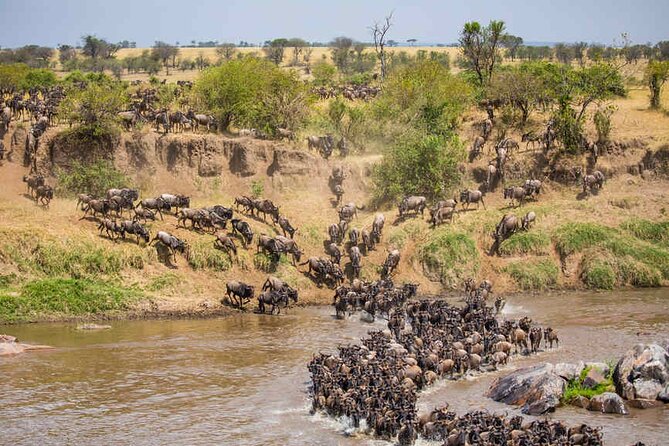 Serengeti Great Wildebeest Migration - 5 Days Tanzania Safari - Payment and Booking Details