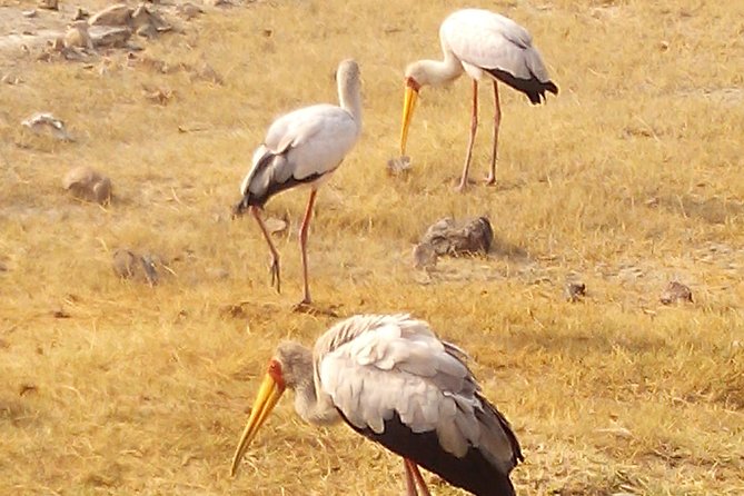 Serengeti National Park 7 Days Safaris Camping - Booking and Cancellation Policy