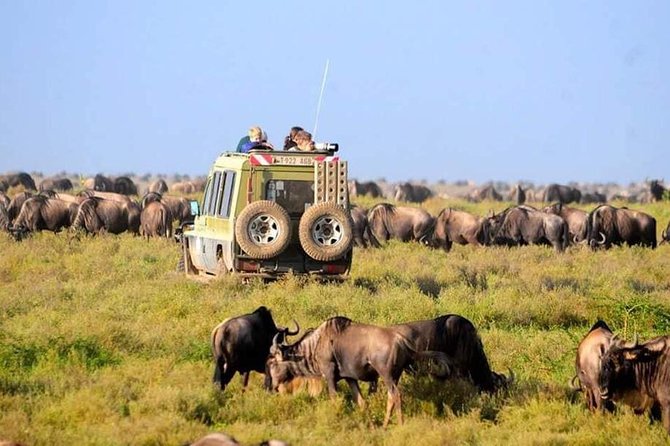 Serengeti National Park 7 Days Safaris Camping - Safari Highlights and Activities