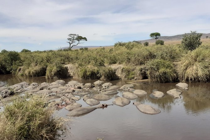 SERENGETI NATIONAL PARK Tour - Culinary Delights of Tanzania