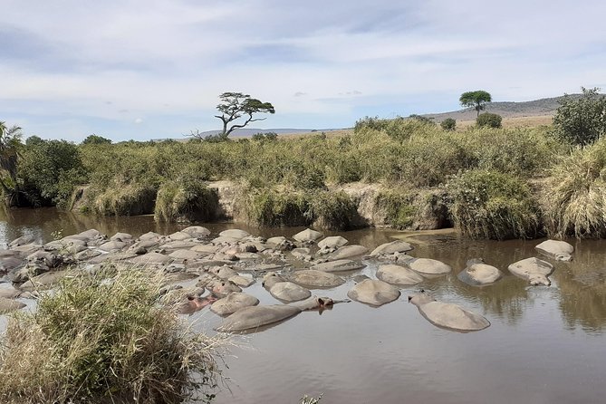 SERENGETI NATIONAL PARK Tour - Why Choose Serengeti National Park