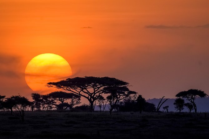 Serengeti & Ngorongoro 3 Days Fly Safari in From Zanzibar - Destination Highlights