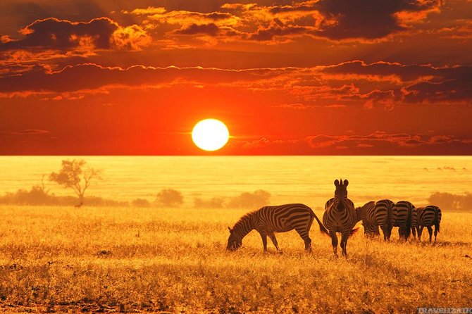 Serengeti & Ngorongoro 3 Days Fly Safari in From Zanzibar - Reviews and Ratings