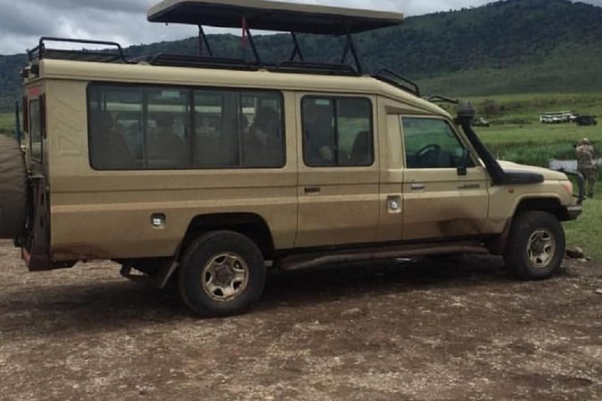 Serengeti, Ngorongoro & Tarangire 5days Private Tour - Meals and Dining