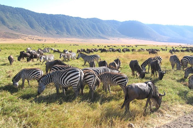 Serengeti Tour – 7days/6 Nights (4 Stars Accommodations) - Pickup Information